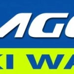 Logo DRAGONSKI