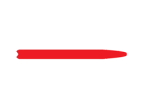 ROSSIGNOL L2 Long R-Skin GRIP (35x410)